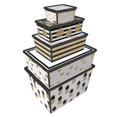 Коробка QUTU TREND BOX з/кр PINEAPPLE LIFE 25л. (TREND BOX с/к PINEAPPLE LIFE 25л.) Коробка QUTU TREND BOX з/кр PINEAPPLE LIFE 25л. (TREND BOX с/к PINEAPPLE LIFE 25л.)