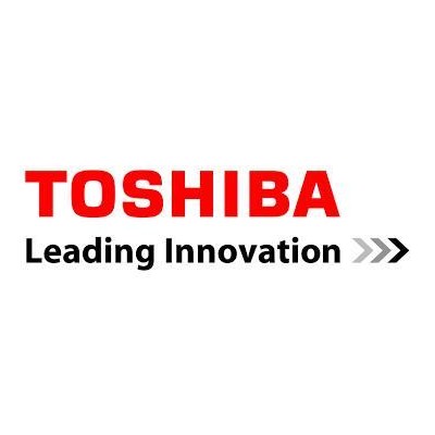 Девелопер D-5070 BLACK 6LK28272000 TOSHIBA Девелопер D-5070 BLACK 6LK28272000 TOSHIBA