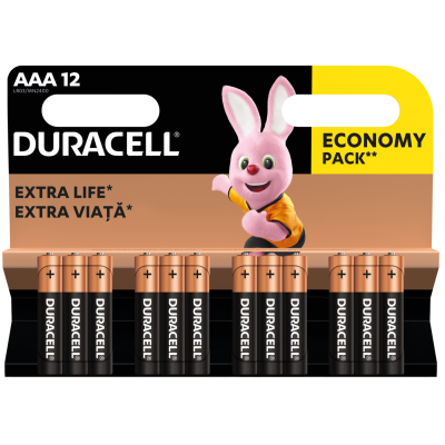 Батарейка DURACELL LR03 MN2400 1x12 шт. Батарейка DURACELL LR03 MN2400 1x12 шт.