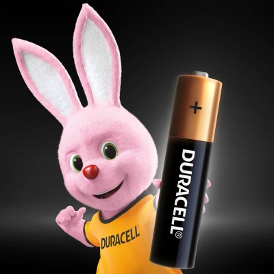Батарейка DURACELL LR03 MN2400 1x12 шт. Батарейка DURACELL LR03 MN2400 1x12 шт.