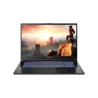 Ноутбук DREAM MACHINES CI7-13620H 17" 32GB/1TB RG4070-17UA21