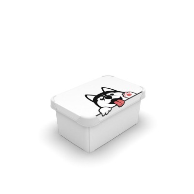 Коробка QUTU STYLE BOX с/к PET 5л. (STYLE BOX с/к PET 5л.) Коробка QUTU STYLE BOX с/к PET 5л. (STYLE BOX с/к PET 5л.)