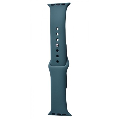 Ремінець Apple Watch Sport Band 38/40/41/42 mm 10 series (S) 2pcs cactus