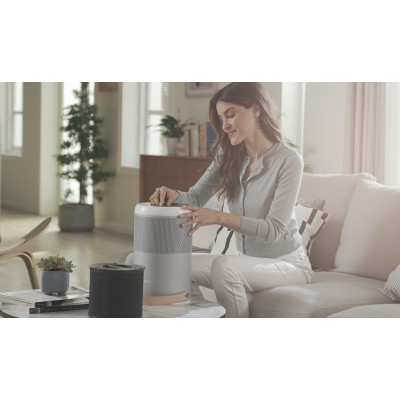 Фільтр до очищувача повітря SmartMi ZMFL-P1-C Pet Allergy Фільтр до очищувача повітря SmartMi ZMFL-P1-C Pet Allergy