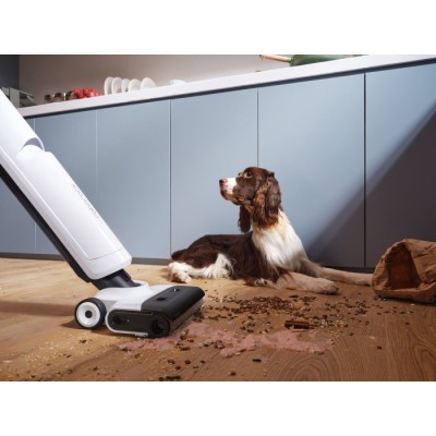Ручний пилосос Roborock Flexi Lite