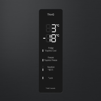 Холодильник LG GC-B509FTZW Холодильник LG GC-B509FTZW