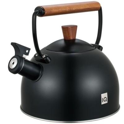 Чайник IQ Вe Natural 2.5 л (IQ-1003) Чайник IQ Вe Natural 2.5 л (IQ-1003)