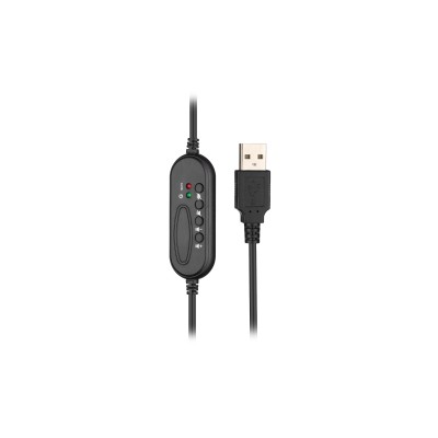 Гарнітура ПК стерео Over-ear 2E CH13 USB, omni-mic, 2м, чорний (2E-CH13SU) Гарнітура ПК стерео Over-ear 2E CH13 USB, omni-mic, 2м, чорний (2E-CH13SU)