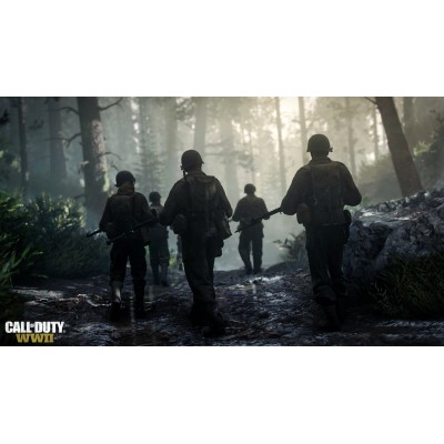 Гра консольна PS4 Call of Duty WWII, BD диск (1101406)