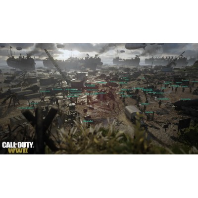 Гра консольна PS4 Call of Duty WWII, BD диск (1101406)