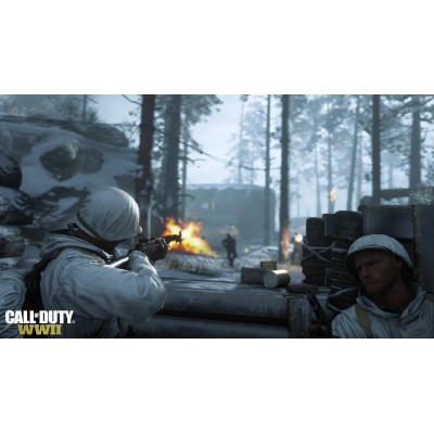 Гра консольна PS4 Call of Duty WWII, BD диск (1101406)