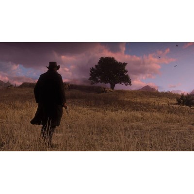 Гра консольна PS4 Red Dead Redemption 2, BD диск (5026555423052)