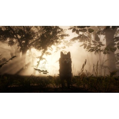 Гра консольна PS4 Red Dead Redemption 2, BD диск (5026555423052)