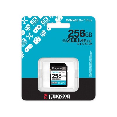 Карта пам'яті Kingston SD 256GB C10 UHS-I U3 V30 R200/W160MB/s (SDG4/256GB) Карта пам'яті Kingston SD 256GB C10 UHS-I U3 V30 R200/W160MB/s (SDG4/256GB)