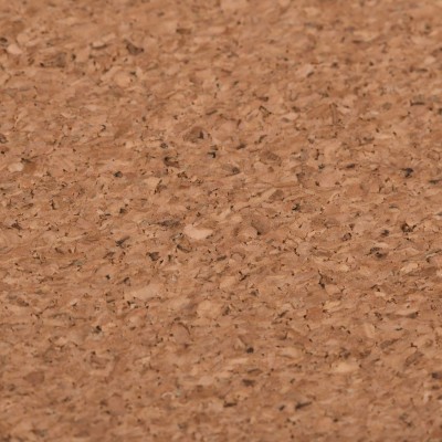 Килимок для миші 2E CORK, S(300x200x2мм), коричневий (2E-PAD-S-CORK) Килимок для миші 2E CORK, S(300x200x2мм), коричневий (2E-PAD-S-CORK)