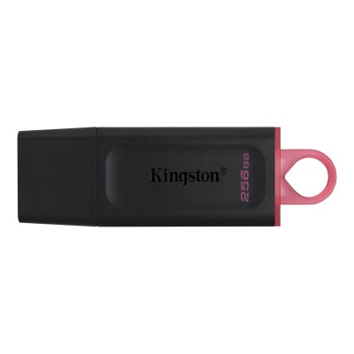 Накопичувач Kingston 256GB USB 3.2 Type-A Gen1 DT Exodia (DTX/256GB)