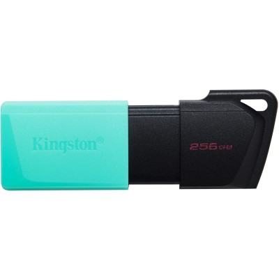 Накопичувач Kingston 256GB USB 3.2 Type-A Gen1 DT Exodia M (DTXM/256GB) Накопичувач Kingston 256GB USB 3.2 Type-A Gen1 DT Exodia M (DTXM/256GB)