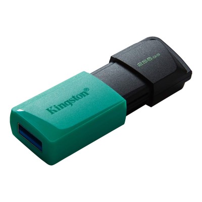 Накопичувач Kingston 256GB USB 3.2 Type-A Gen1 DT Exodia M (DTXM/256GB) Накопичувач Kingston 256GB USB 3.2 Type-A Gen1 DT Exodia M (DTXM/256GB)