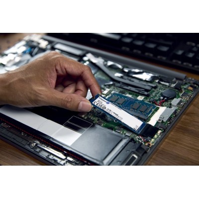 Накопичувач SSD Kingston M.2 2TB PCIe 4.0 NV3 (SNV3S/2000G) Накопичувач SSD Kingston M.2 2TB PCIe 4.0 NV3 (SNV3S/2000G)