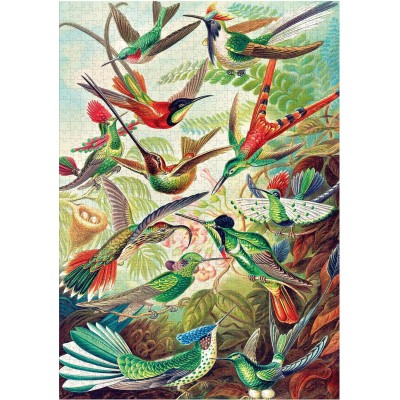 Пазл GoodLoot Imagination: Ernst Haeckel Hummingbirds 1000 ел.