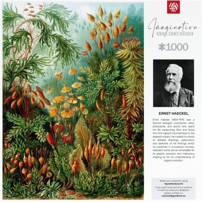 Пазл GoodLoot Imagination: Ernst Haeckel Muscinae 1000 ел.