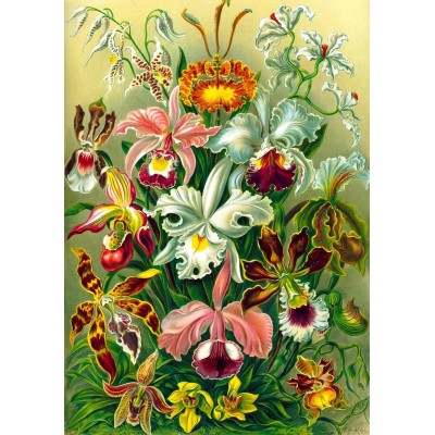 Пазл GoodLoot Imagination: Orchid Ernst Haeckel 1000 ел.