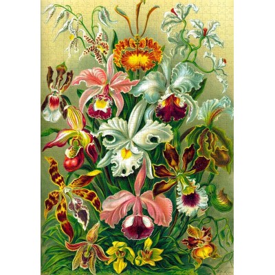 Пазл GoodLoot Imagination: Orchid Ernst Haeckel 1000 ел.