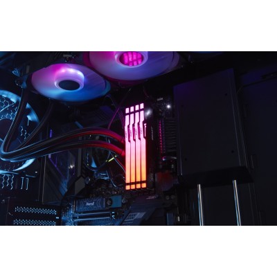 Пам'ять ПК Kingston DDR5 16GB 5600 FURY Beast RGB (KF556C40BBA-16) Пам'ять ПК Kingston DDR5 16GB 5600 FURY Beast RGB (KF556C40BBA-16)