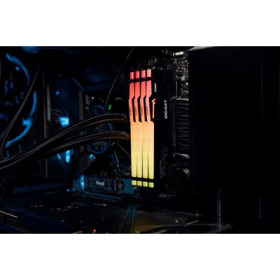 Пам'ять ПК Kingston DDR5 16GB 5600 FURY Beast RGB (KF556C40BBA-16) Пам'ять ПК Kingston DDR5 16GB 5600 FURY Beast RGB (KF556C40BBA-16)