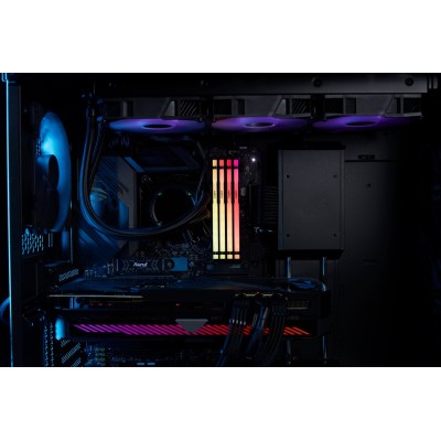 Пам'ять ПК Kingston DDR5 16GB 5600 FURY Beast RGB (KF556C40BBA-16) Пам'ять ПК Kingston DDR5 16GB 5600 FURY Beast RGB (KF556C40BBA-16)
