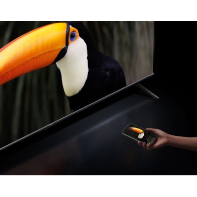 Xiaomi TV S Mini LED 55 2025