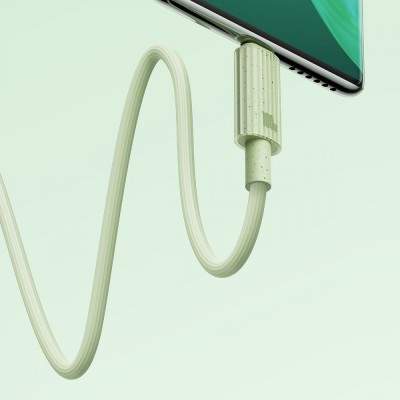 Кабель Baseus Habitat Series Fast Charging Type-C 100W (2m) P10360203421-01 pink