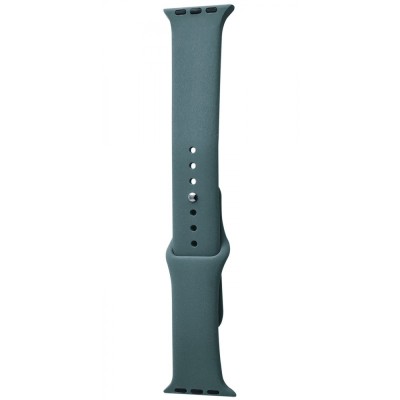Ремінець Apple Watch Sport Band 42/44/45/46/49 mm (M) 2pcs cactus