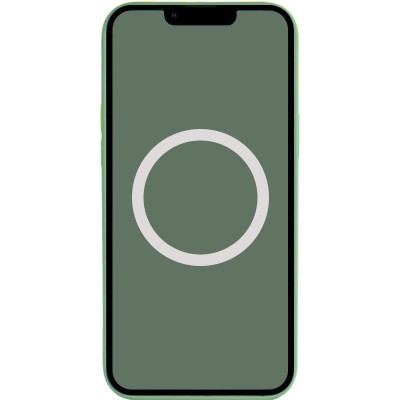 Чохол Silicone case (AAA) full with Magsafe and Animation для Apple iPhone 13 Pro Max (6.7") Зелений / Eucalyptus