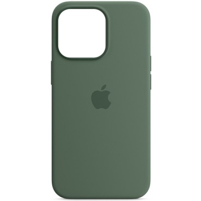 Чохол Silicone case (AAA) full with Magsafe and Animation для Apple iPhone 13 Pro Max (6.7") Зелений / Eucalyptus