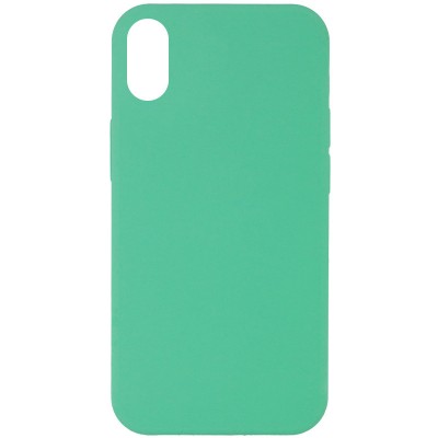 Чохол Silicone Case Full Protective (AA) NO LOGO для Apple iPhone XR (6.1") Зелений / Spearmint Чохол Silicone Case Full Protective (AA) NO LOGO для Apple iPhone XR (6.1") Зелений / Spearmint