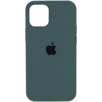 Чохол Silicone Case Full Protective (AA) для Apple iPhone 12 Pro Max (6.7") Зелений / Cactus Чохол Silicone Case Full Protective (AA) для Apple iPhone 12 Pro Max (6.7") Зелений / Cactus