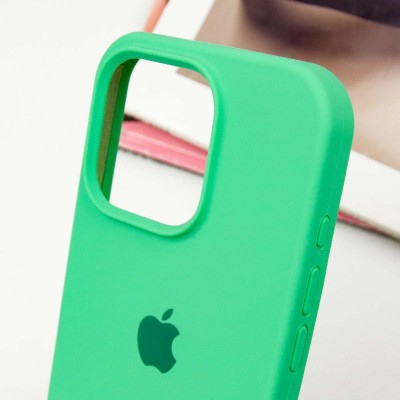Чохол Silicone Case Full Protective (AA) для Apple iPhone 14 Pro (6.1") Зелений / Spearmint Чохол Silicone Case Full Protective (AA) для Apple iPhone 14 Pro (6.1") Зелений / Spearmint