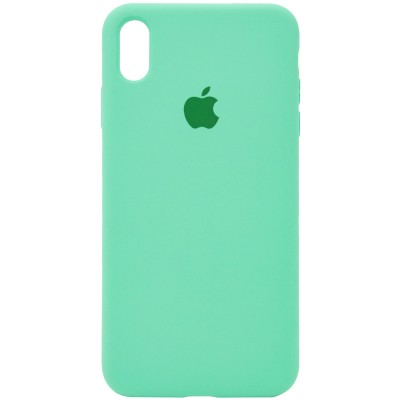 Чохол Silicone Case Full Protective (AA) для Apple iPhone X (5.8") / XS (5.8") Зелений / Spearmint