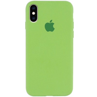 Чохол Silicone Case Full Protective (AA) для Apple iPhone X (5.8") / XS (5.8") М'ятний / Mint Чохол Silicone Case Full Protective (AA) для Apple iPhone X (5.8") / XS (5.8") М'ятний / Mint