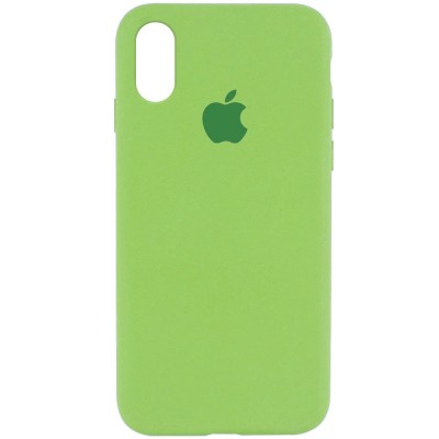 Чохол Silicone Case Full Protective (AA) для Apple iPhone XR (6.1") М'ятний / Mint Чохол Silicone Case Full Protective (AA) для Apple iPhone XR (6.1") М'ятний / Mint