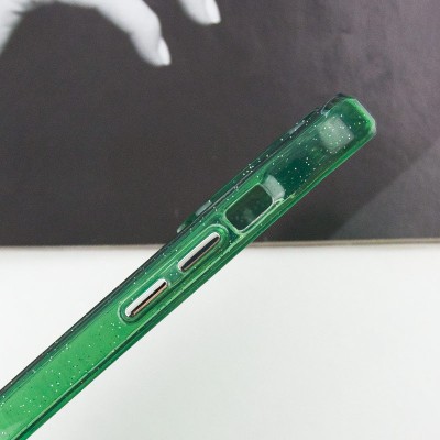 Чохол TPU Radiance with MagSafe для Apple iPhone 16 Pro Max (6.9") Green