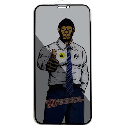 Захисне скло Privacy 5D Anti-Static (тех.пак) для Apple iPhone 11 Pro Max / XS Max (6.5") Чорний