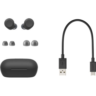 Навушники TWS Sony WF-C710N BT 5.3, ANC, IPX4, SBC, AAC, Mic, Чорний